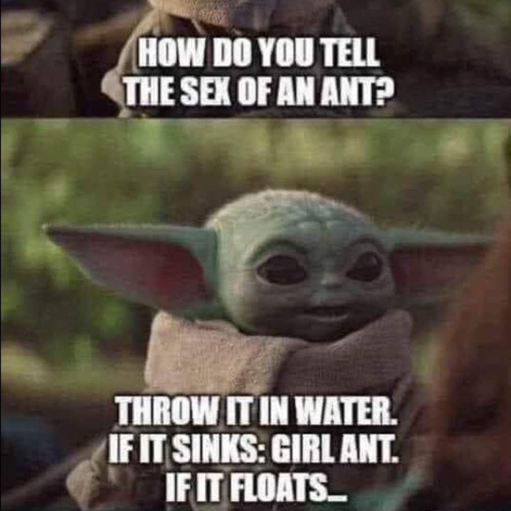 Meet your Posher, Richard